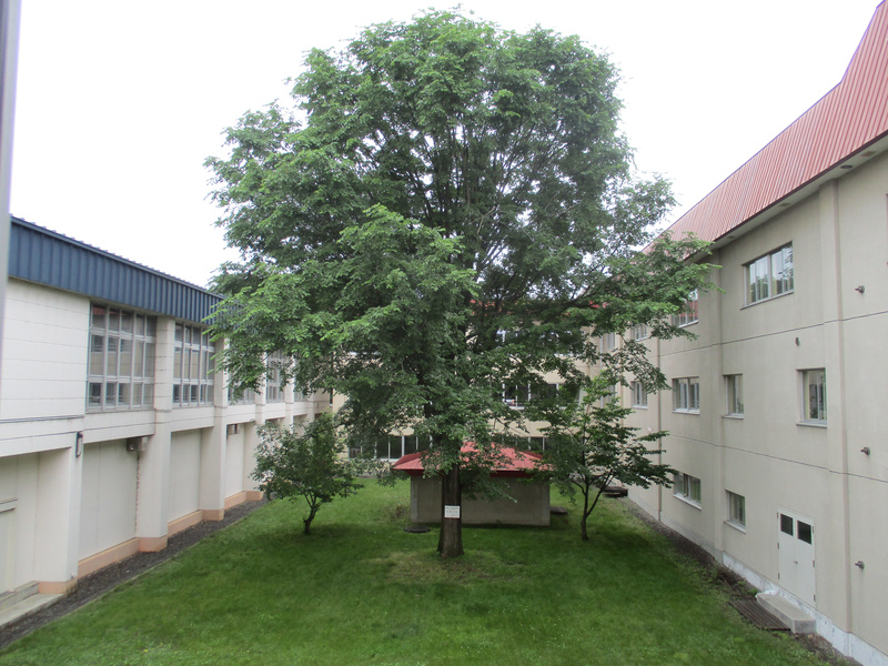 20200702.jpg