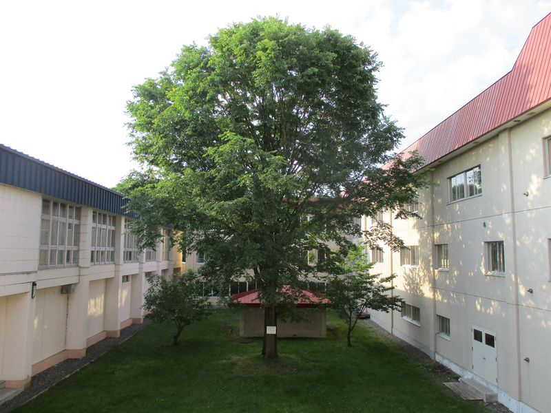20200703.jpg