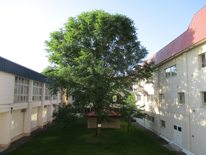 20200706.jpg