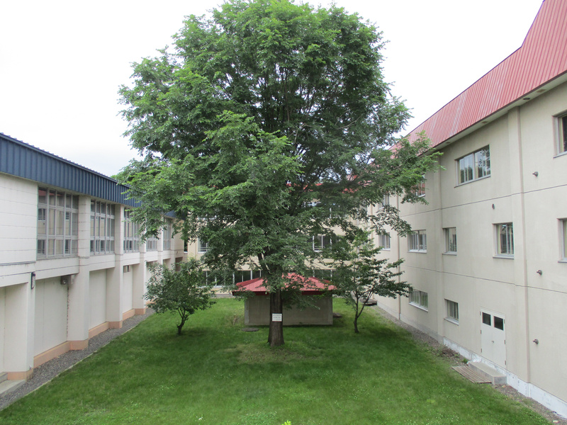 20200707.jpg