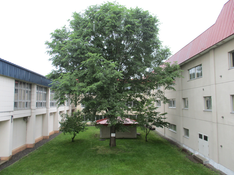 20200708.jpg