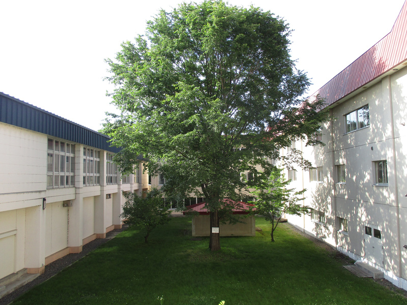 20200709.jpg
