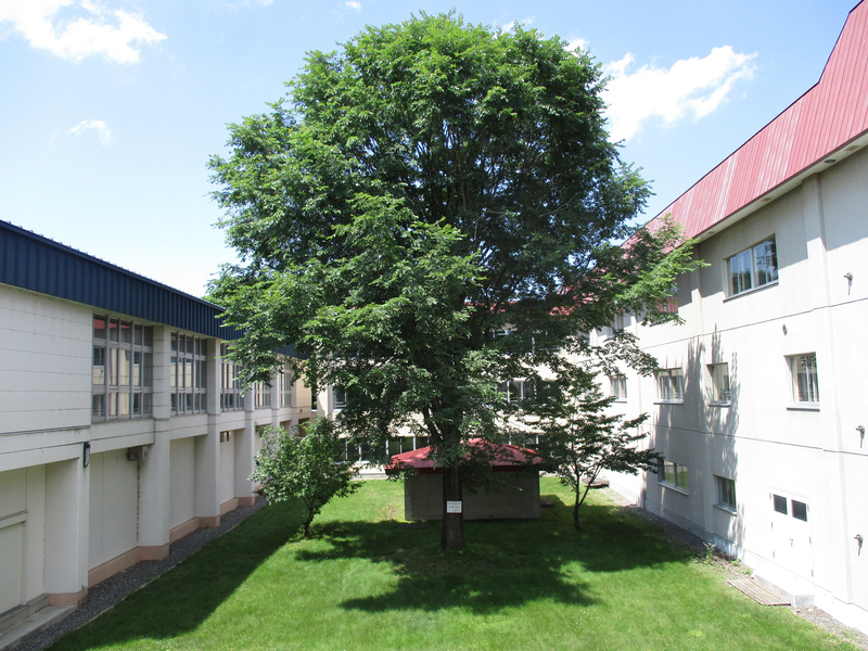 20200710.jpg