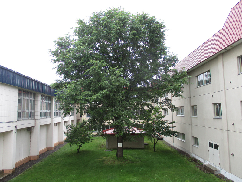 20200713.jpg