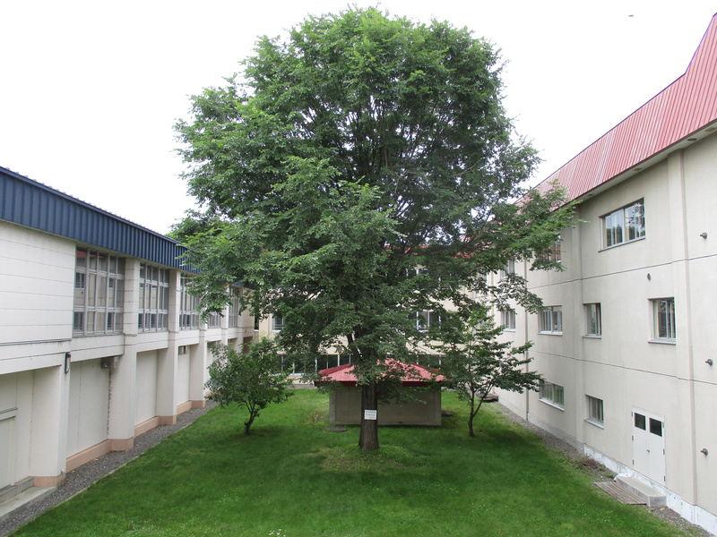 20200715.jpg