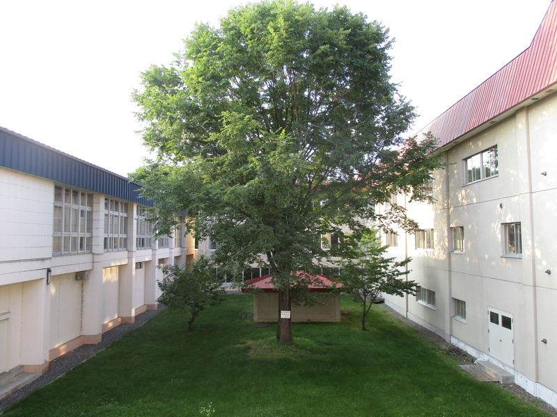 20200720.jpg