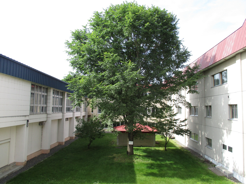20200721.jpg