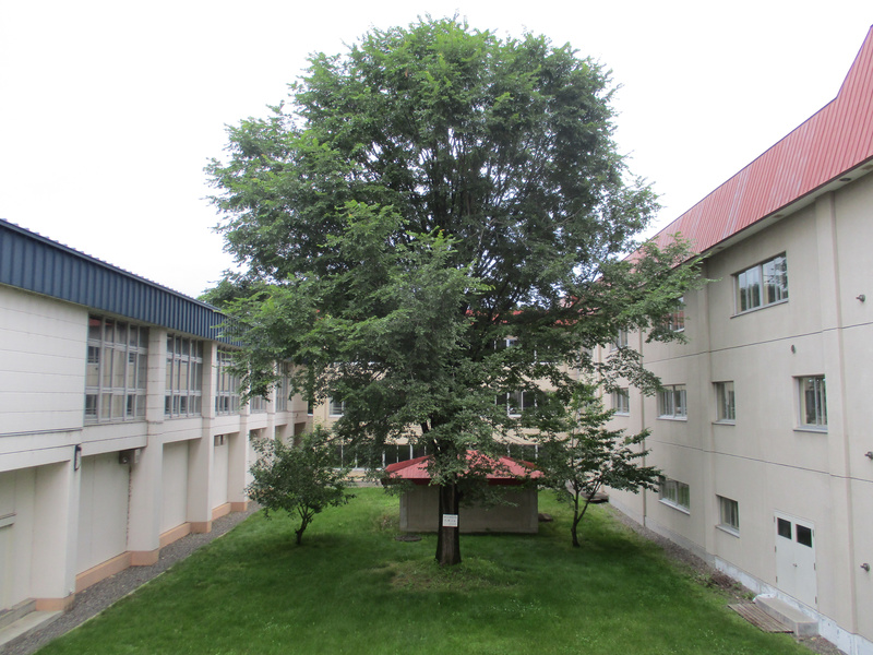 20200722.jpg