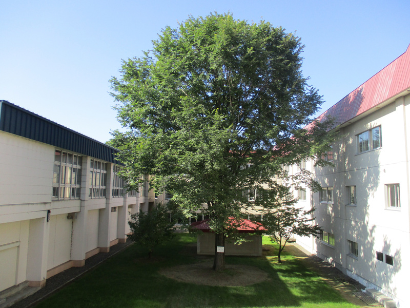 20200826.jpg