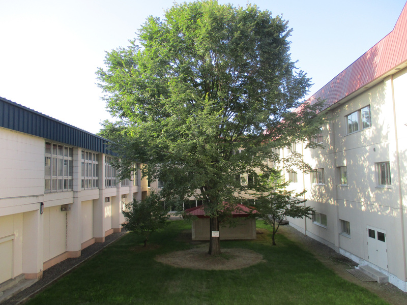 20200827.jpg