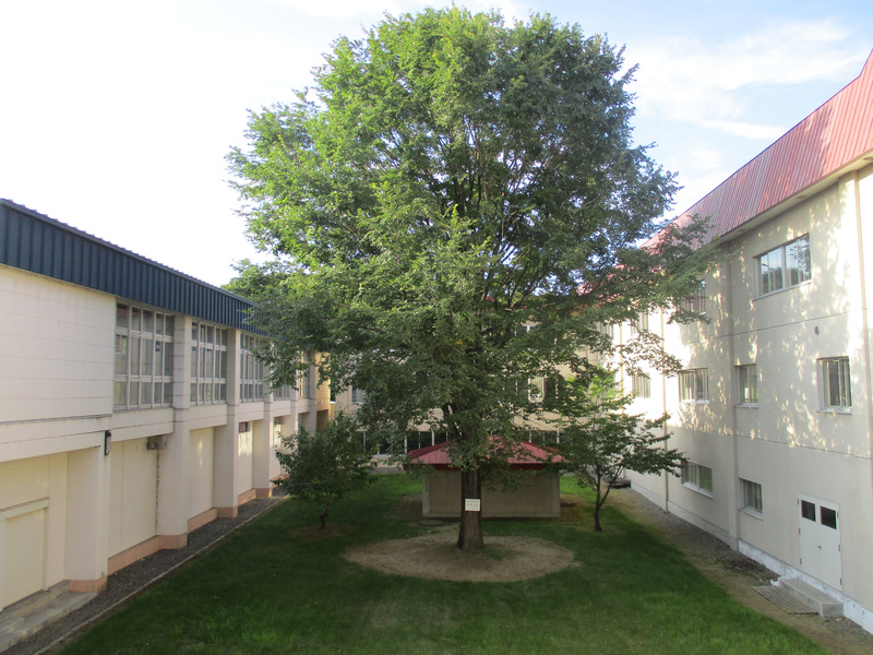 20200828.jpg