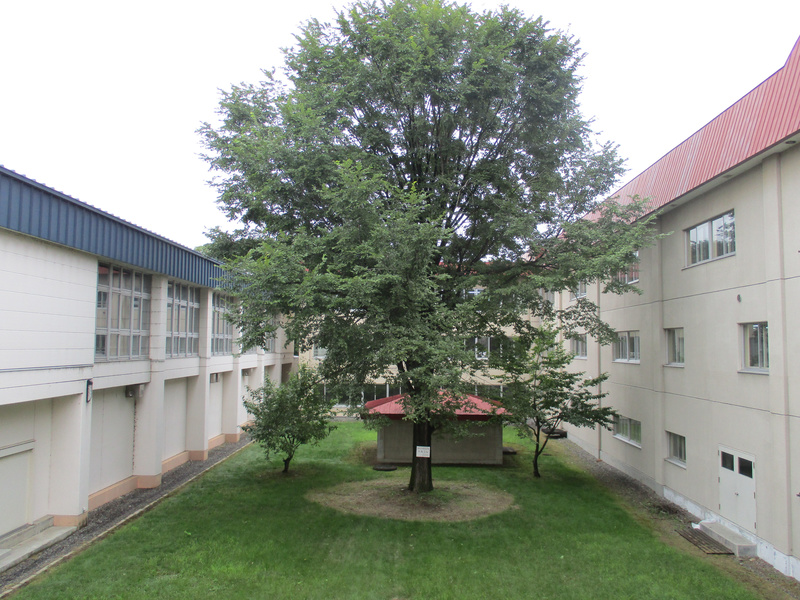 20200901.jpg