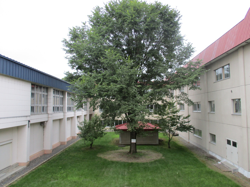 20200902.jpg