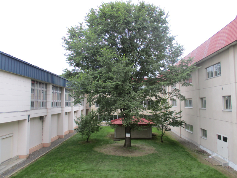20200903.jpg