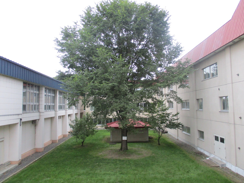 20200907.jpg