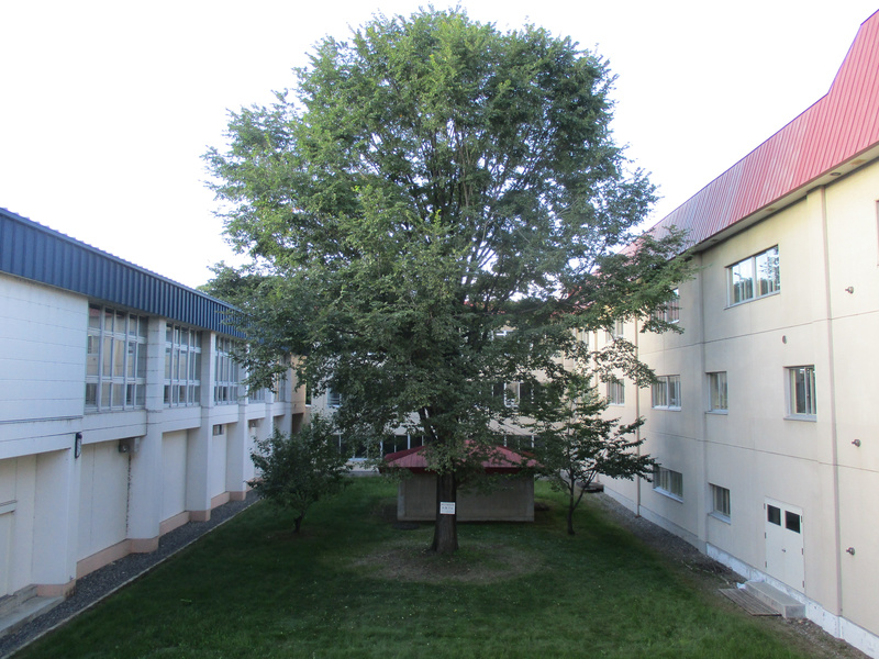 20200908.jpg