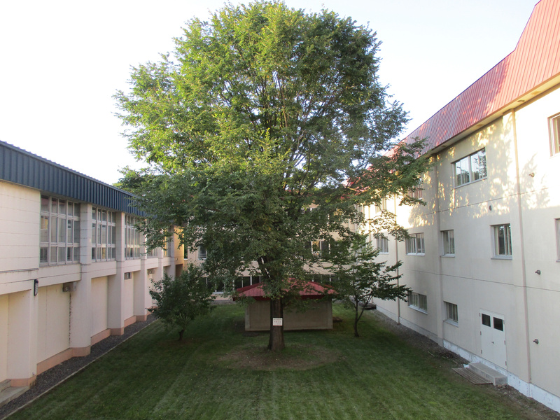 20200909.jpg