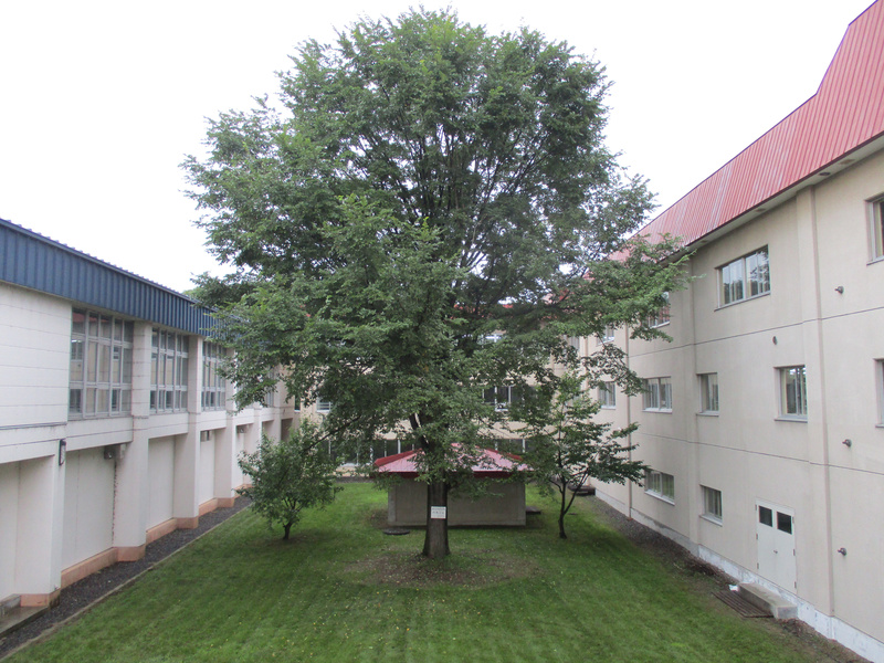 20200910.jpg
