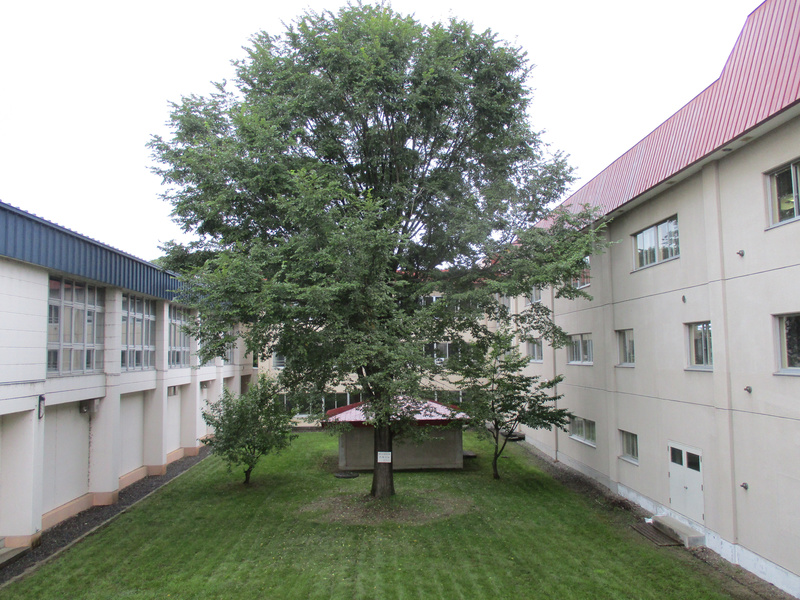 20200911.jpg