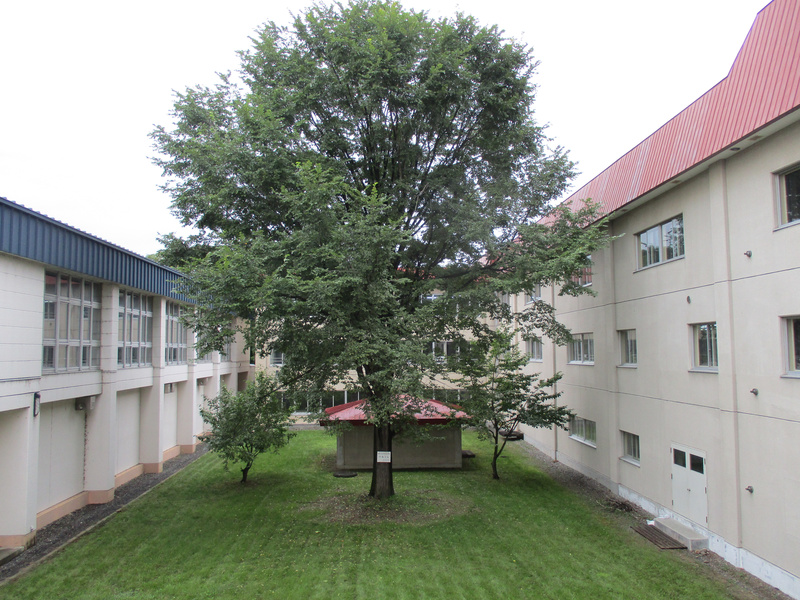 20200914.jpg