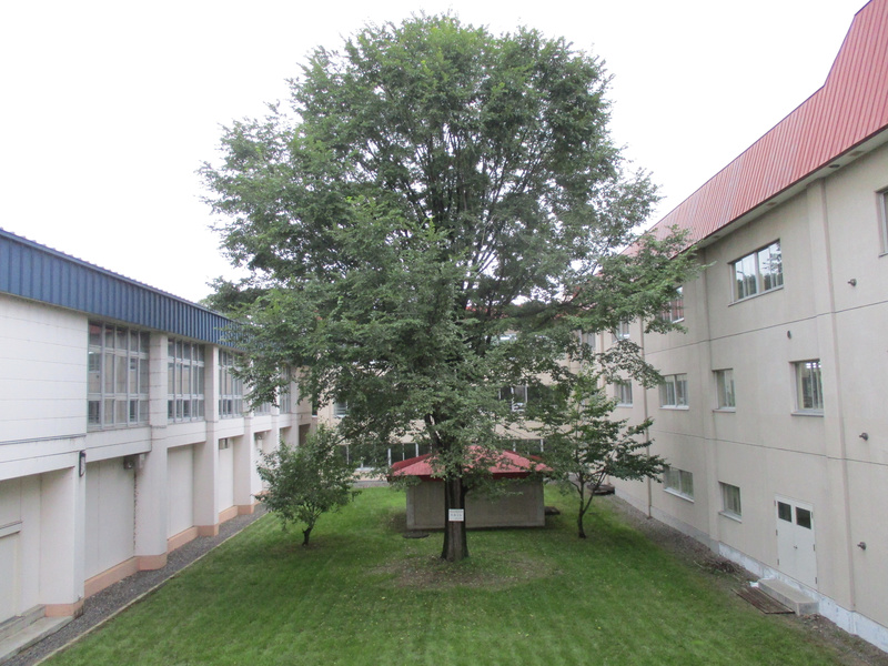 20200915.jpg