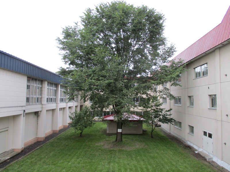 20200916.jpg