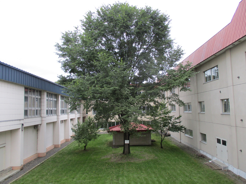 20200917.jpg