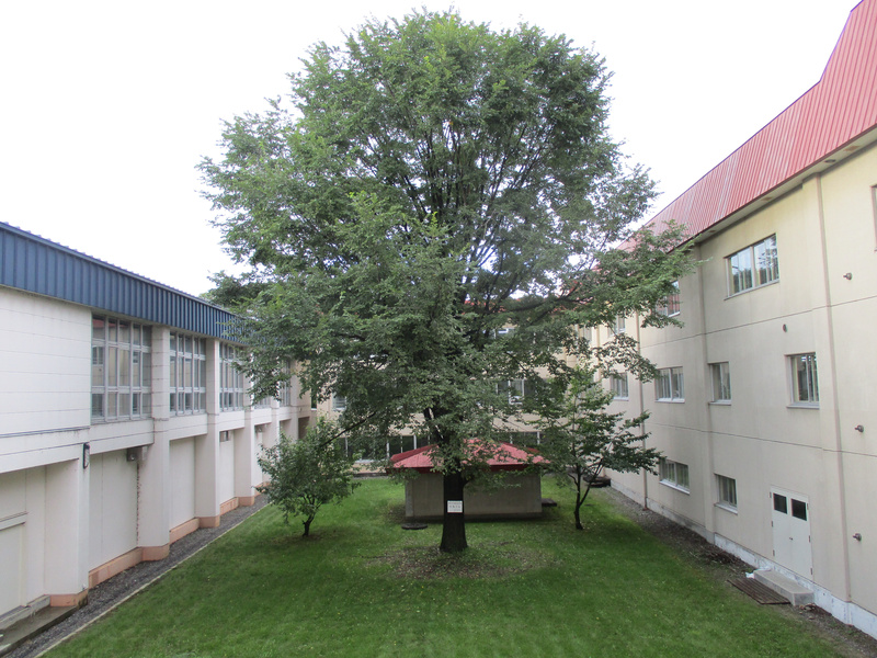 20200918.jpg