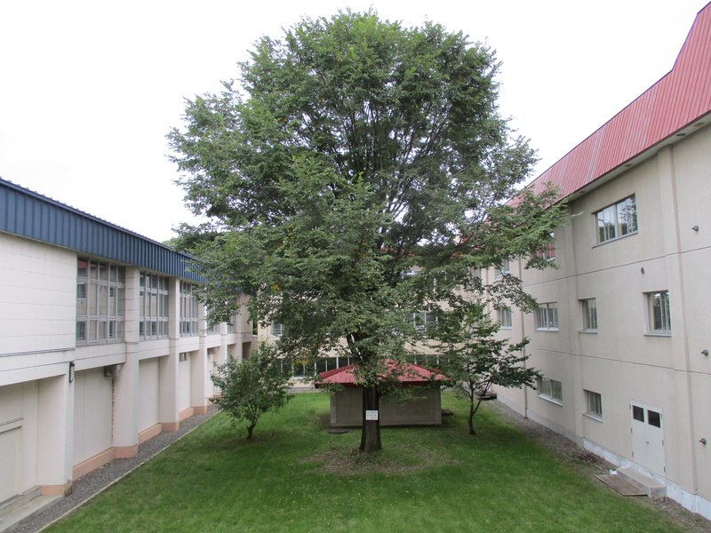 20200923.jpg