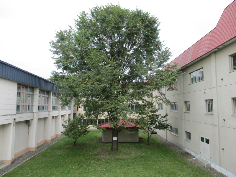20200930.jpg
