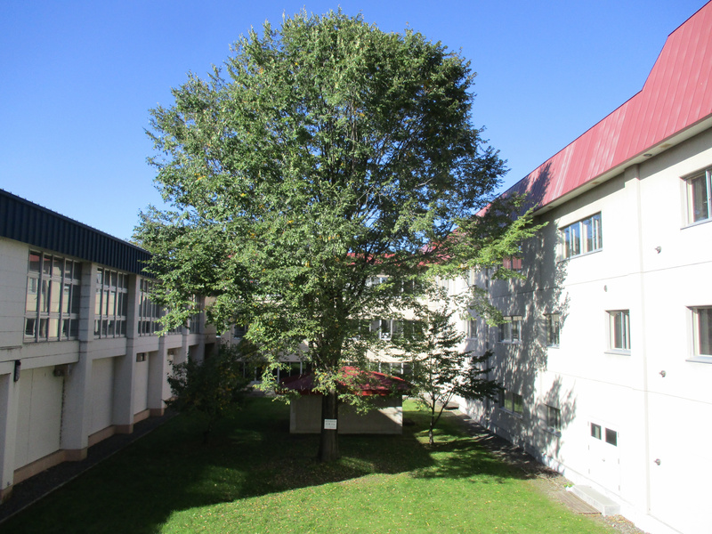 20201006.jpg