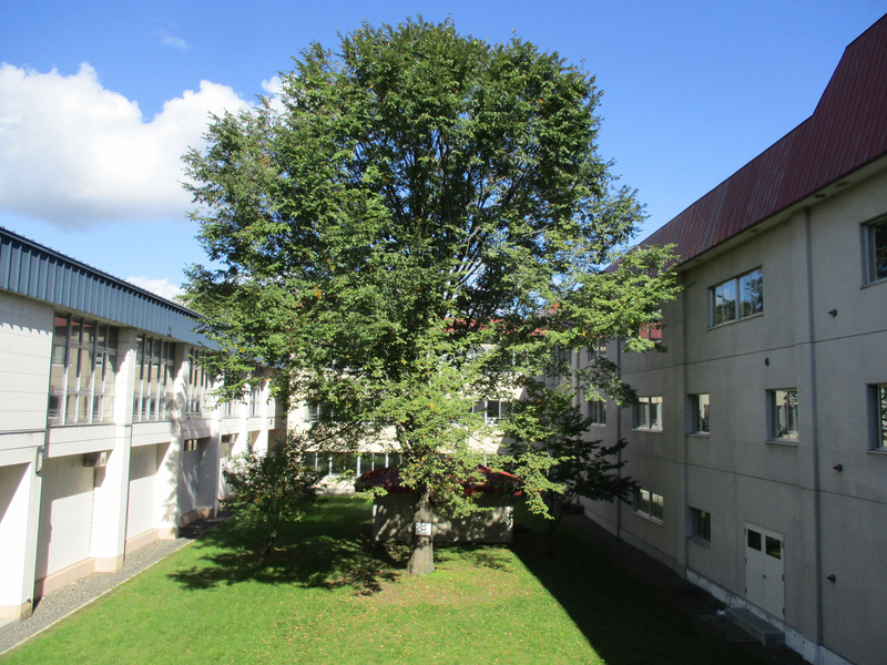 20201007.jpg