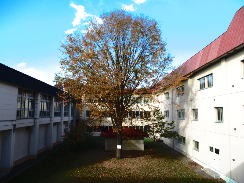 20201028.jpg