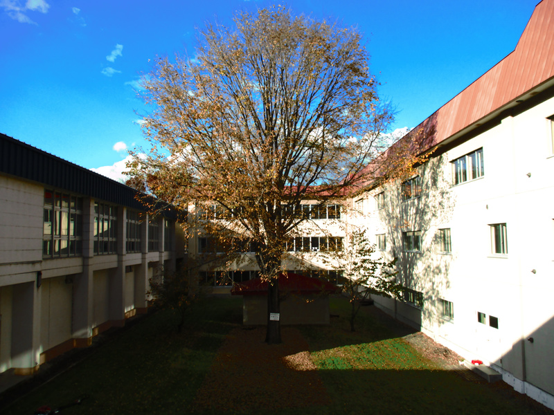 20201029.jpg