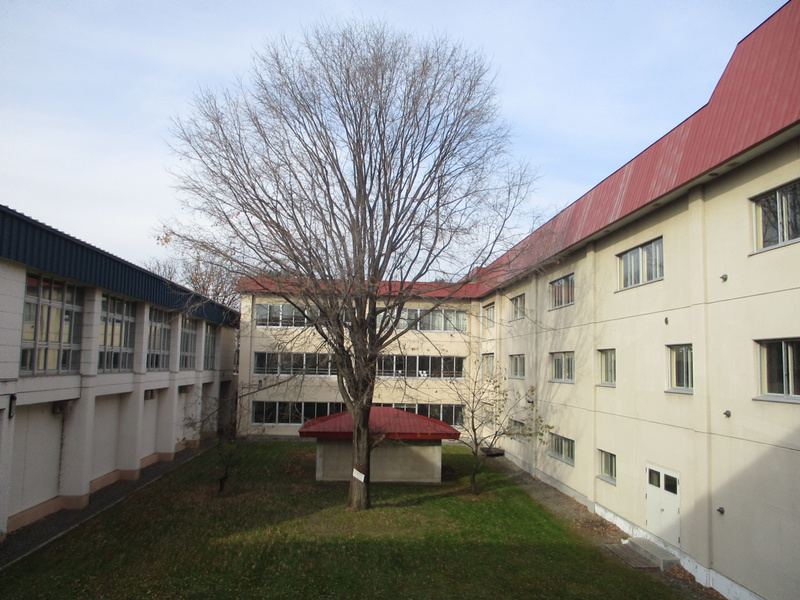 20201106.jpg
