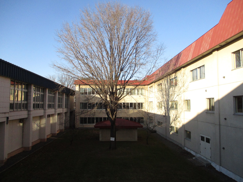 20201202.jpg