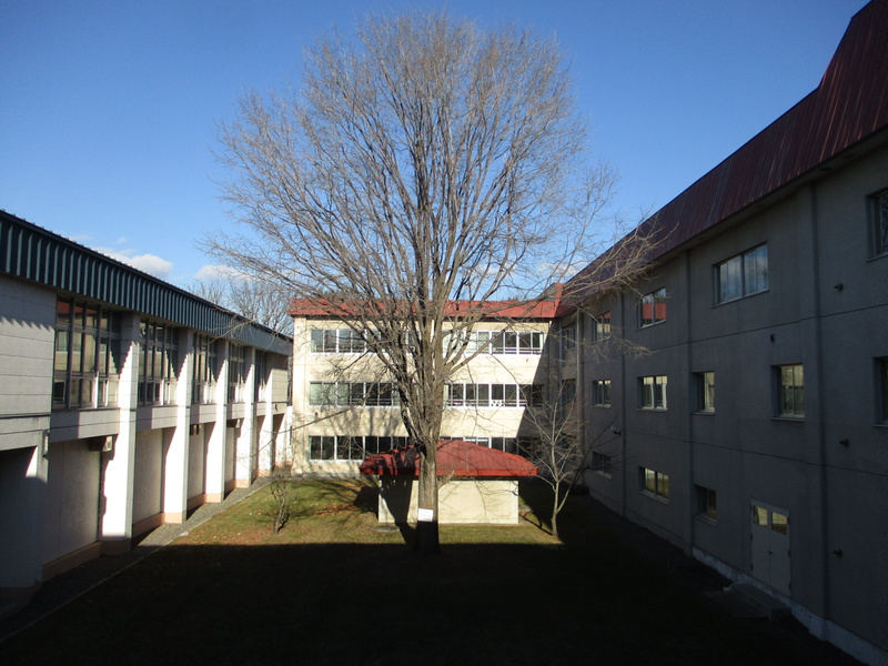20201209.jpg