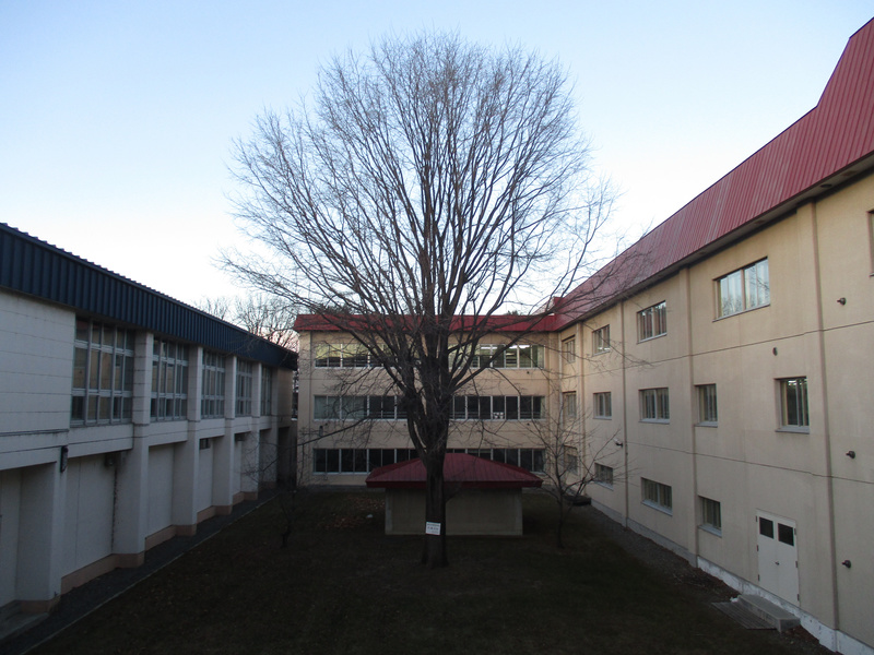 20201216.jpg