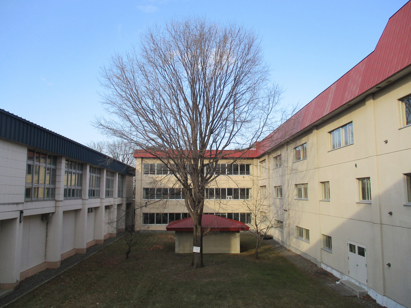 20201225.jpg