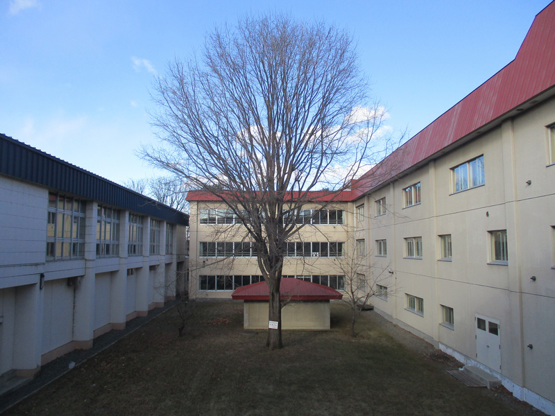 20210104.jpg