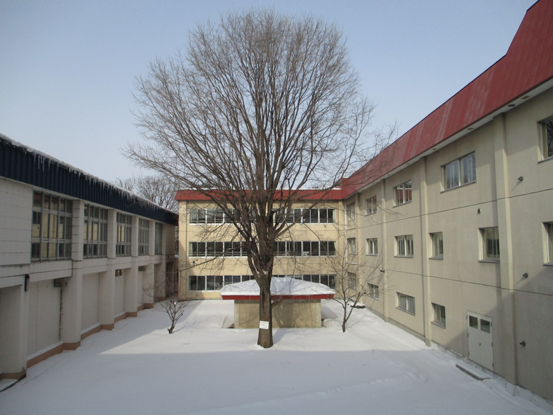 20210115.jpg