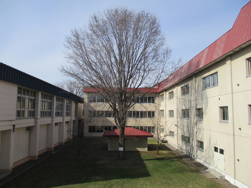 20210412.jpg