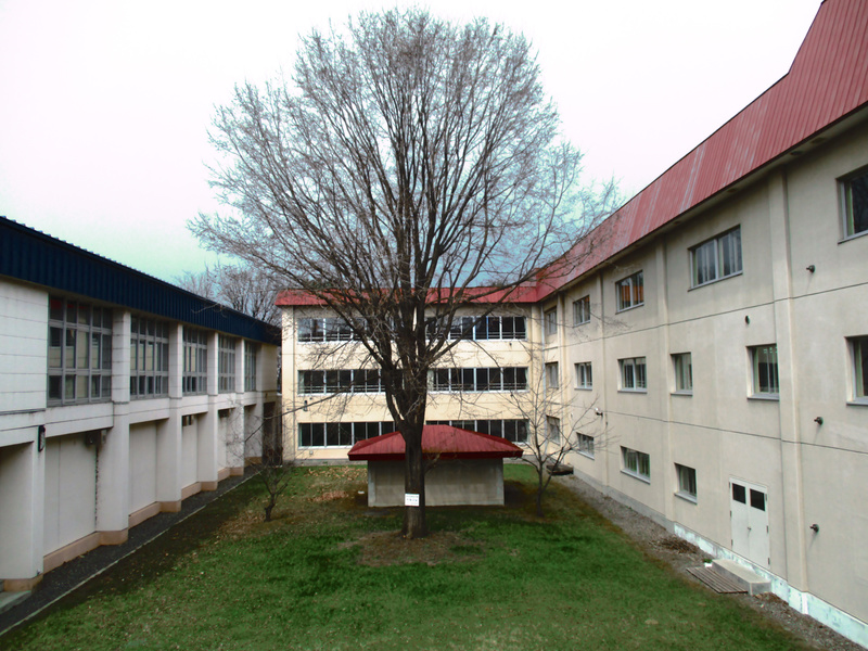 20210415.jpg