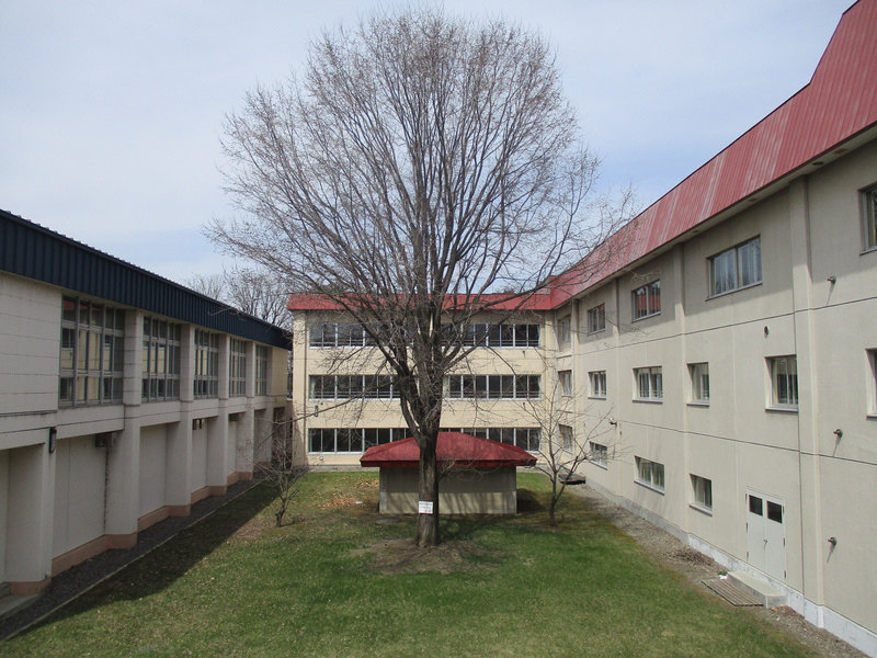 20210416.jpg