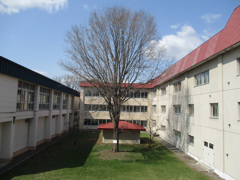 20210421.jpg