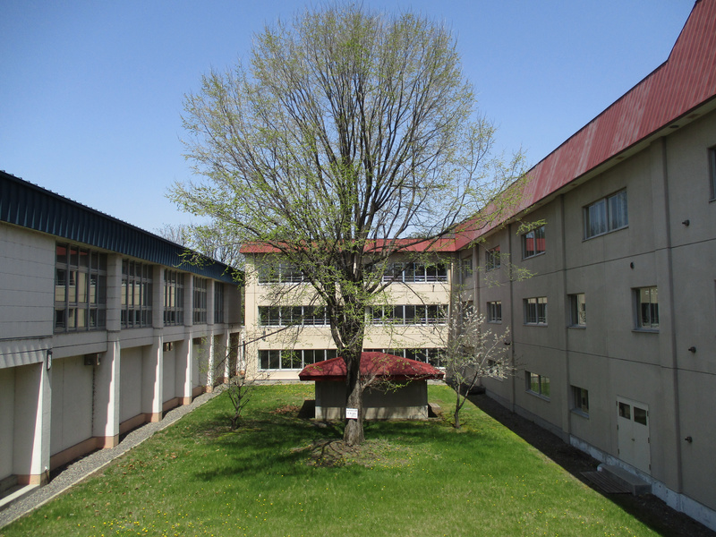 20210507.jpg