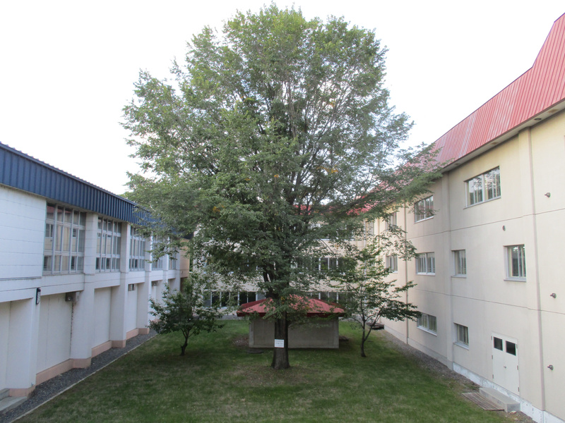 20210906.jpg
