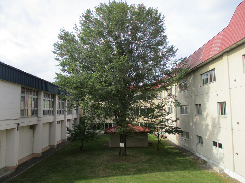 20210907.jpg